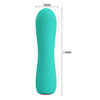 Elfin Mini Vibrator Aqua - 12 Vibration Functions, Waterproof, USB Rechargeable