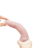 Flexi Vine Sensual Spine Flesh - Luxurious Multi-Speed Vibrator, Bendable Design