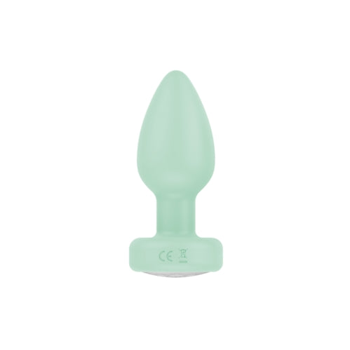 Pr17: VIBRATING PLUG W/ REMOTE - PURPLE - Adult Naughty Store