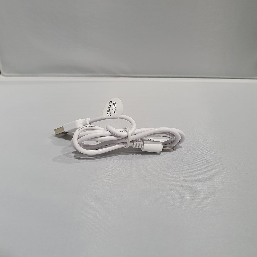 Pillow Talk Luxurious Replacement Charger for Effortless, Uninterrupted Pleasure