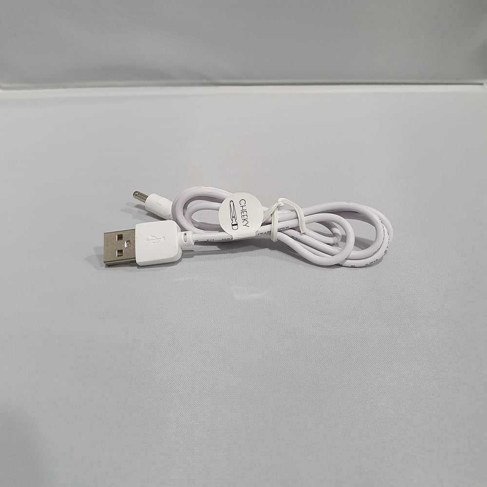 Pillow Talk Luxurious Replacement Charger for Effortless, Uninterrupted Pleasure