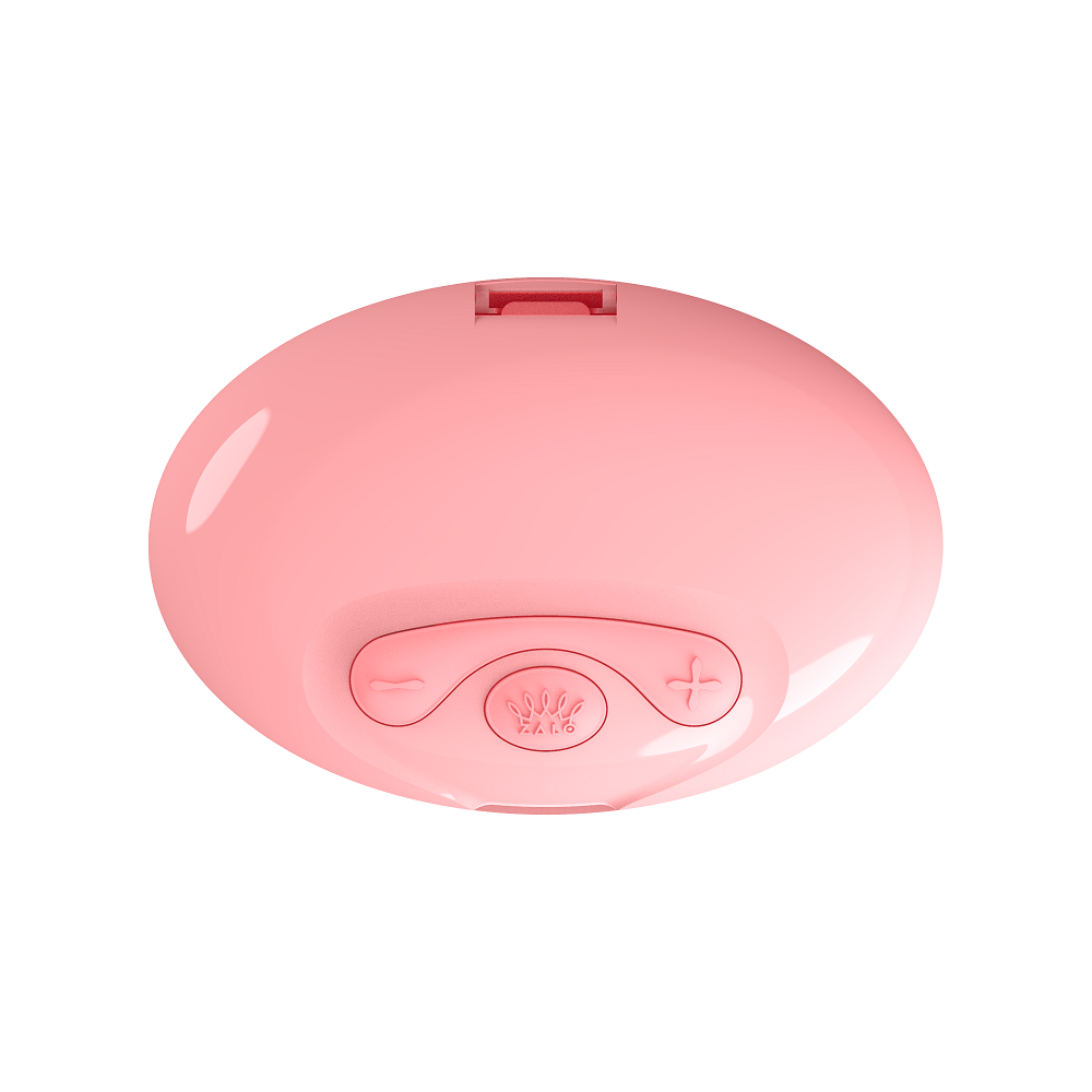 ZALO Amourte Fairy Pink Bullet Vibrator - The Ultimate Pleasure Companion for Women - Adult Naughty Store