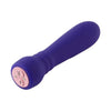 FemmeFunn Booster Bullet Vibrator - Powerful Rechargeable Stimulation for Intense Pleasure - Model B20 - Women's Vibrating Sex Toy - Clitoral and G-Spot Stimulation - Deep Purple - Adult Naughty Store