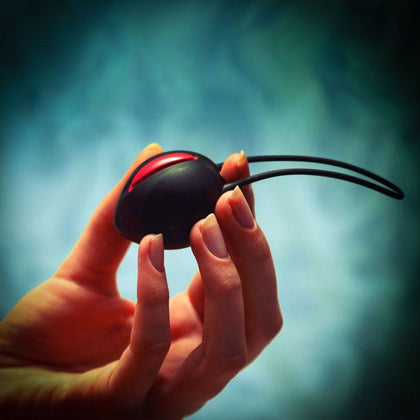 Fun Factory Smartball Uno Kegel Balls - Advanced Pelvic Floor Strengthening Device for Women - Internal Rotating Balls - Beginner-Friendly - Uterine Condition Support - Discreet and Comfortab - Adult Naughty Store