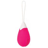 Evolved Rechargeable Egg R/c Silicone Pink