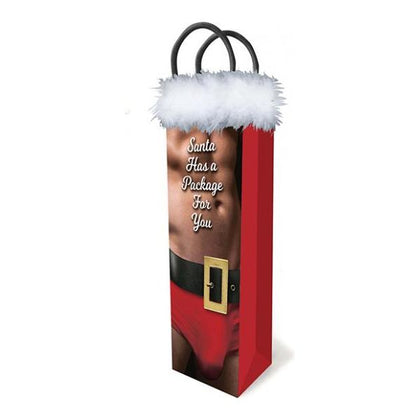 Santa Has A Package Gift Bag