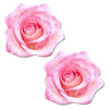 Pastease Pink Glitter Velvet Rose Pink