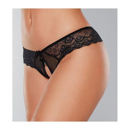 Adore Foreplay Lace & Mesh Front Open Panty Black O/s