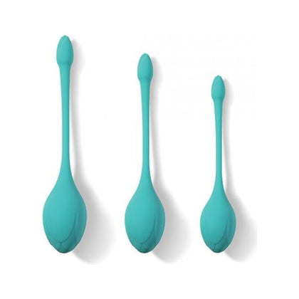 Bluebell Floral 3 Size & Weight Kegel Ball Exercise Set - Blue