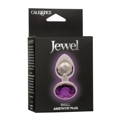 Jewel Small Amethyst Plug Purple