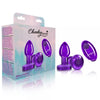 Cheeky Charms Vibrating Metal Plug Purple Small W/ Remote