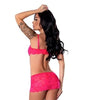 Get It Girl Lace Bra W/skirt & Thong - Pink S/m