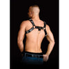 Ouch Costas Solid Structure 2 Black Chest Harness