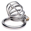 The Pen Deluxe Stainless Steel Locking Chastity Cage