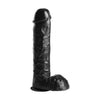 Infiltrator Hollow Strap On With 10 Inches Dildo Black