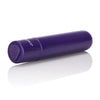 Tiny Teasers Bullet Vibrator Purple