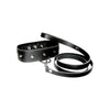 Sportsheets Leather Leash and Collar