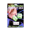 Glow In The Dark Erotic Dice Spanish Version