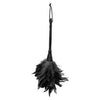 Fetish Fantasy Frisky Feather Duster