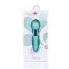 Rina Dual Vibrator Teal