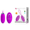 Vibrating Egg Rechargeable 