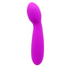 Petite Vibrator 