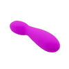 Petite Vibrator 