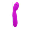 Petite Vibrator 