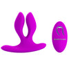 Vibrator 
