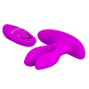 Vibrator 