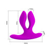 Vibrator 