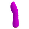 Mini Silicone Vibrator 
