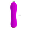 Easy Insertion Mini Vibrator Purple 