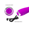 Rechargeable Rabbit Vibe 