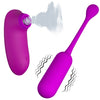 Wireless Control Sucking Egg 