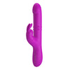 Rabitt Vibrator 