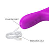 Rabitt Vibrator 