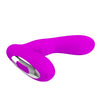 Prostate Vibrator 