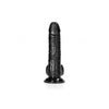 Curved Realistic Dildo with Balls and Suction Cup - 6 inches