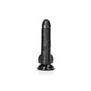 Curved Realistic Dildo with Balls and Suction Cup - 7''/ 18 cm