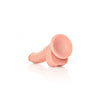 Curved Realistic Dildo with Balls and Suction Cup - 7'' Splendor