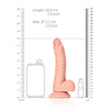 Curved Realistic Dildo with Balls and Suction Cup - 7'' Splendor
