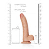 Curved Realistic Dildo with Balls and Suction Cup - 8''/ 20.5 cm