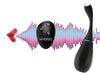 Voice Activated 10x Vibrating Egg With Remote Control