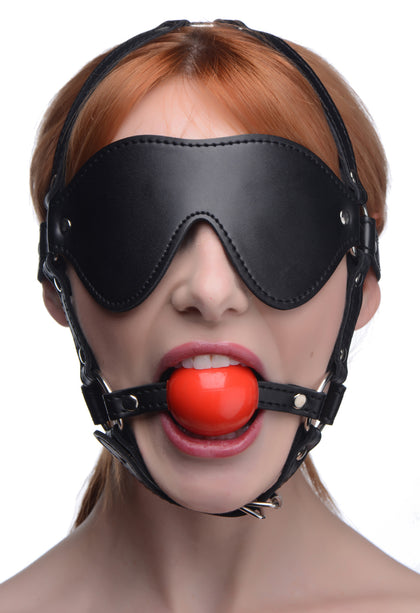 Blindfold Harness And Red Ball Gag