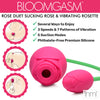 Bloomgasm Rose Duet Sucking Rose And Vibrating Rosette