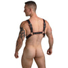 Heathen's Male Body Harness