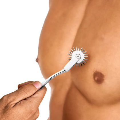 Silver Sensation Wartenberg Wheel