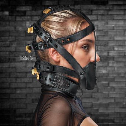 Leather Head Harness With Muzzle