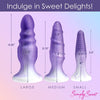 Simply Sweet Silicone Butt Plug Set Purple - CN-11-0425-38 Anal Trainer Kit for Couples - Adult Naughty Store